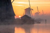 Kinderdijk Windmills sunrise fog