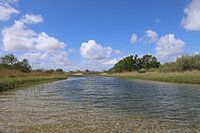 Àmsterdamse waterleidingduinen Zandvoort