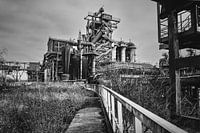 Die Natur und der Mensch