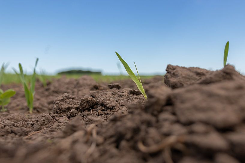 Groningen et Drenthe Veenkoloniën par Johan Mooibroek