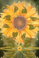 Art mural Art-Nouveau Le Tournesol