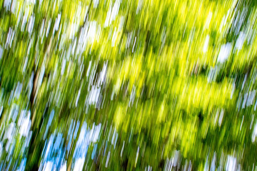ICM Foto spielen in der Natur mit der Kamera von Jolanda de Jong-Jansen