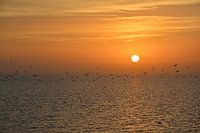 Lever de soleil Terschelling