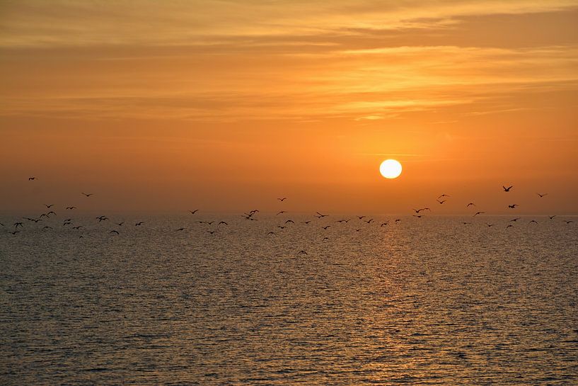Sunrise Terschelling by Roy Zonnenberg