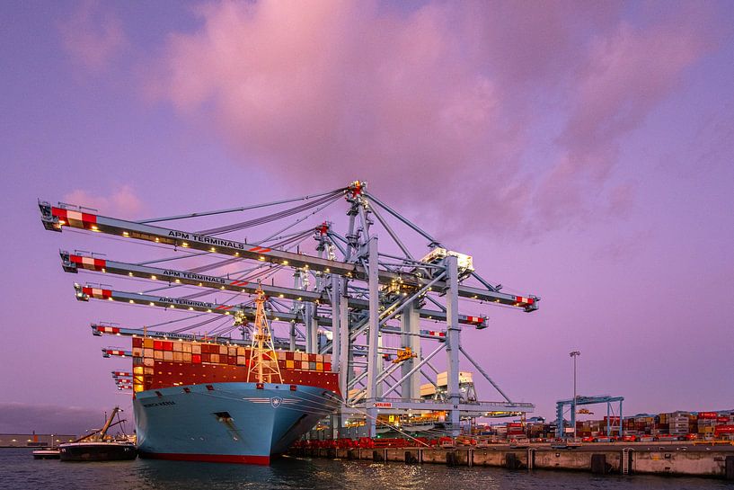 Containership 7 van Nuance Beeld