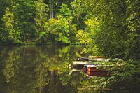 Lac romantique dans la Forêt bavaroise