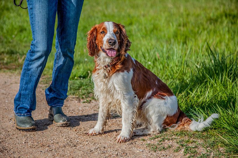 Kingston by Joy Droogsma