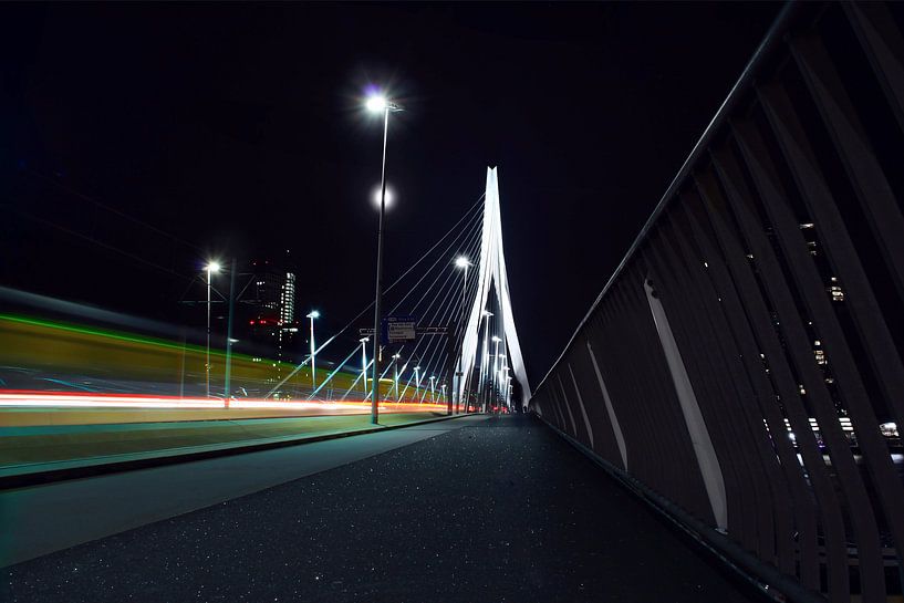 Mysterious Swan par Marcel Moonen @ MMC Artworks