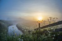 Foggy morning at the mill