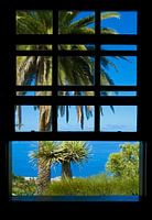 Beautiful  island  La Isla Bonita