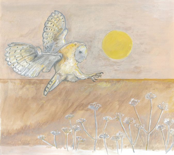 Schleiereule von Tanja Koelemij