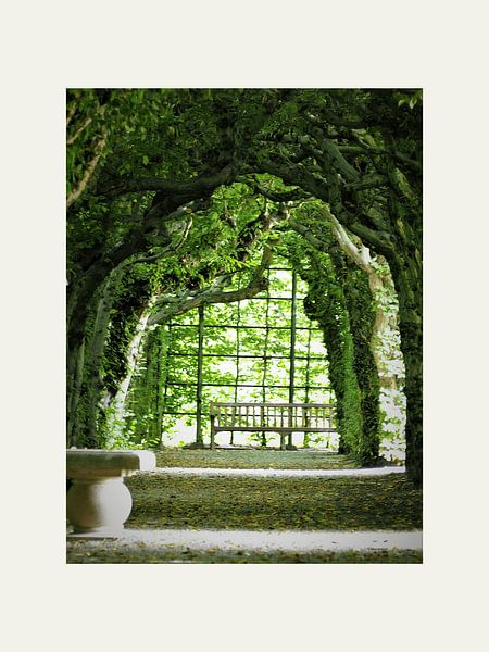 Charme photographié à Kasteeltuinen Arcen par @Unique