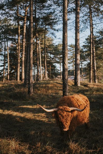 Dutch nature by Froukje Wilming