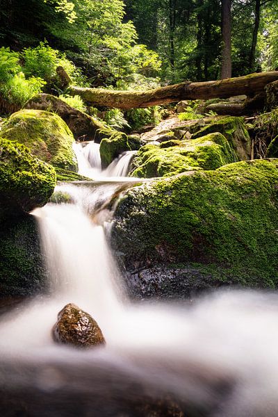 Bachlauf harz von Tim Lee Williams