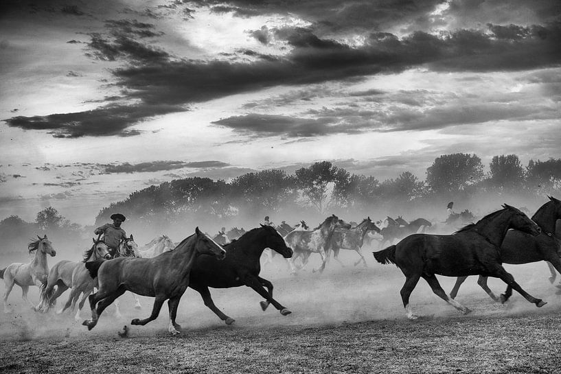 Gauchos und Pferde von Eric Verdaasdonk