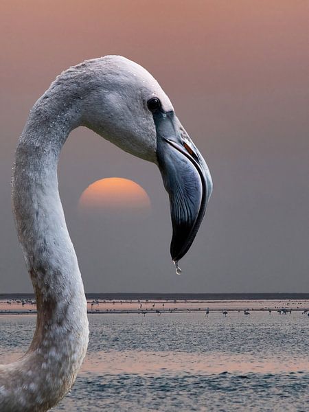 Dies ist meine Welt von Mathilde Guillemot