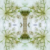 Gefrorenes Blumengrün am Straßenrand