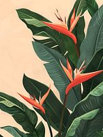 Bird of paradise plant