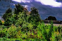 Utrecht - Innenstadt mit dunklem Himmel