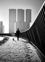 Winterspaziergang mit dem Hund