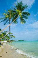 Le littoral pittoresque de Koh Samui