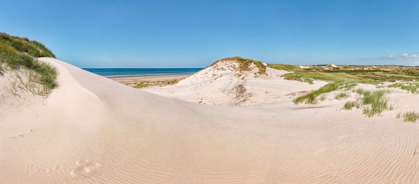 Duinen in Het Noordhollands Duinreservaat, strand en de Noordzee, Bergen aan Zee, Noord-Holland, Ned van Rene van der Meer