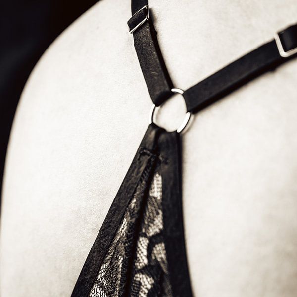 Lingerie sensuelle en dentelle et dos par Werner Lerooy
