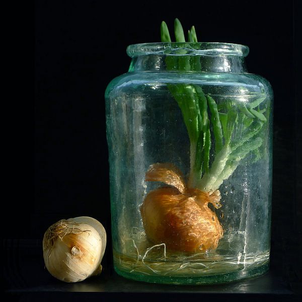 Union in old glass by Jan Wiersma