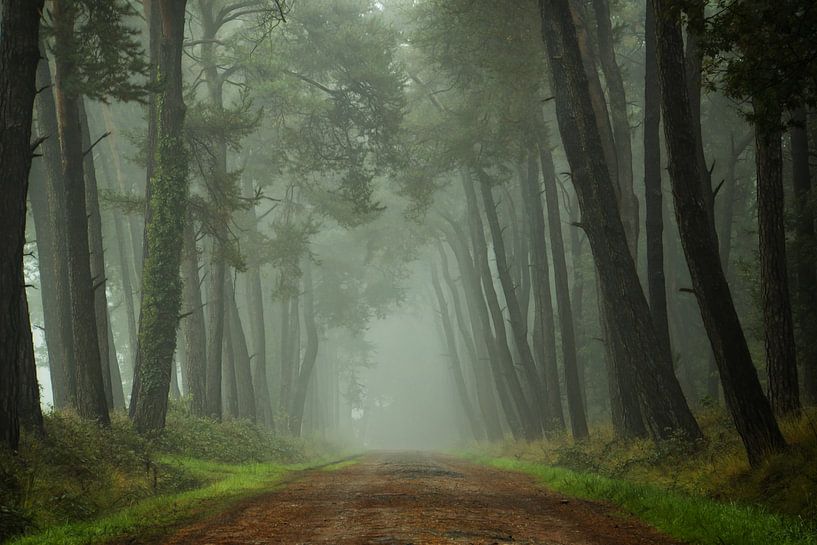 Path to the Unknown II van Martin Podt