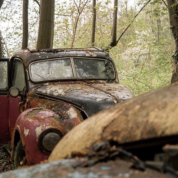 Frozen in place by seems.photography