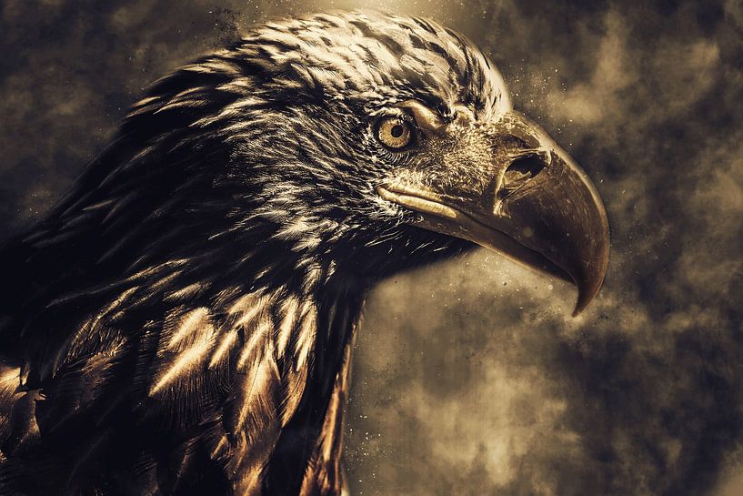 Eagle von Mateo