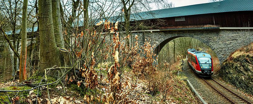 Erzgebirge Railway by Johnny Flash