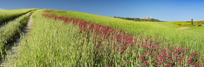 Campagne autour de Pienza par Walter G. Allgöwer