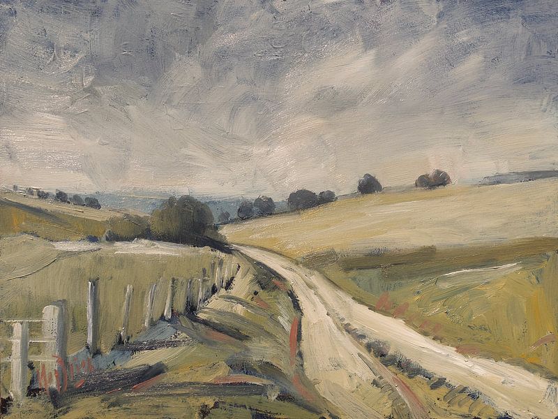 Country road in South Limburg by Nop Briex