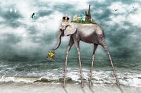 Beach walk around the world