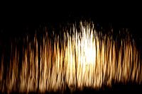 Soleil du soir à travers les roseaux