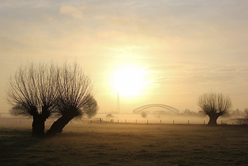 Weiland in de mistige Oosterbeekse Uiterwaarden. von Maarleveld Fotografie
