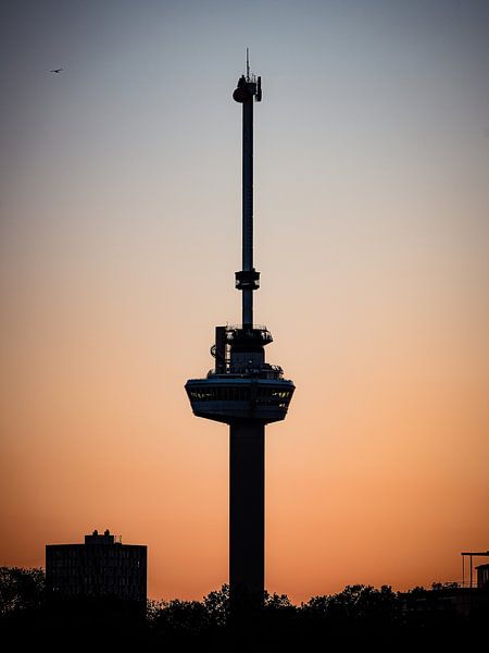 The Euromast by Jelte Lagendijk