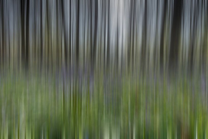 Hallerbos Abstract von Menno Schaefer