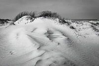 Terschellinger Dünen