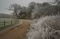 Vijtig tinten wit en grijs