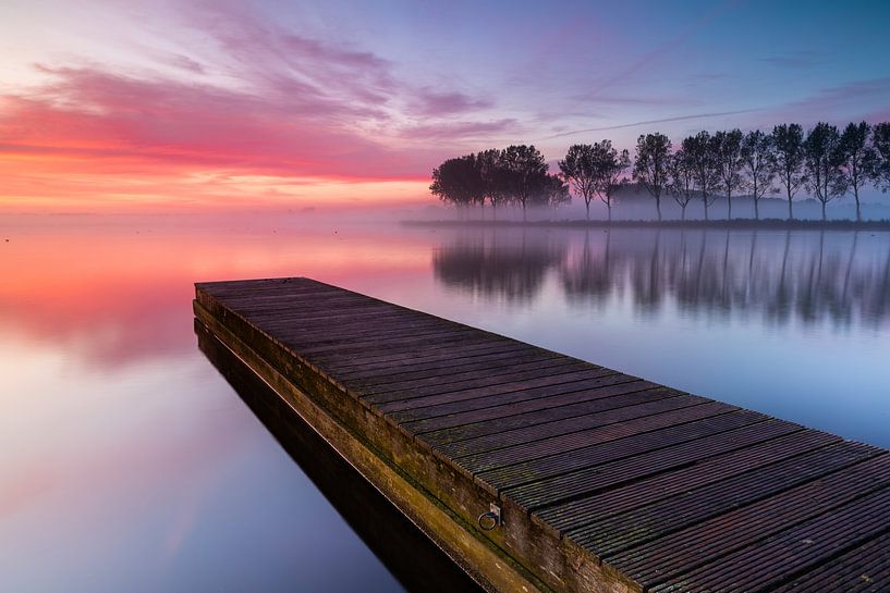 Jetée et rangée d'arbres au lac Dirkshorn lors d'un magnifique lever de soleil brumeux par Bram Lubbers