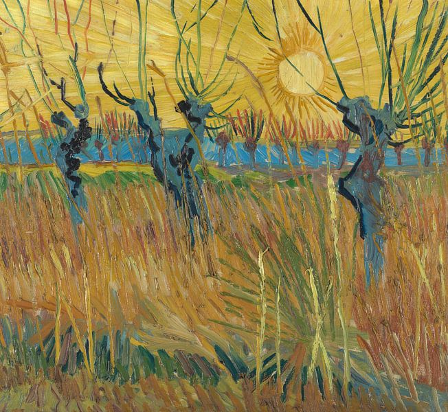Kopfweiden bei Sonnenuntergang, Vincent van Gogh von Meisterhafte Meister