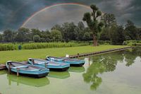 Regenbogen am Himmel