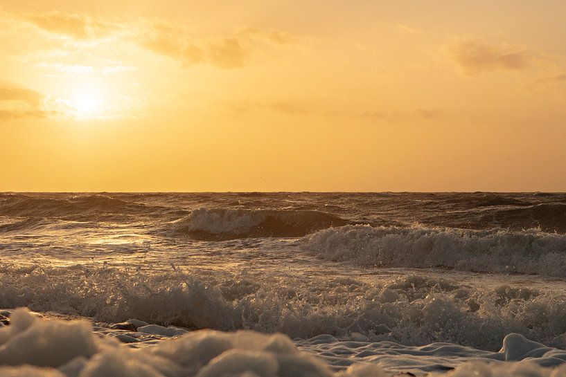 mer au pays du sel par anne droogsma