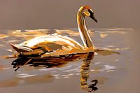 Artificial intelligence : The swan