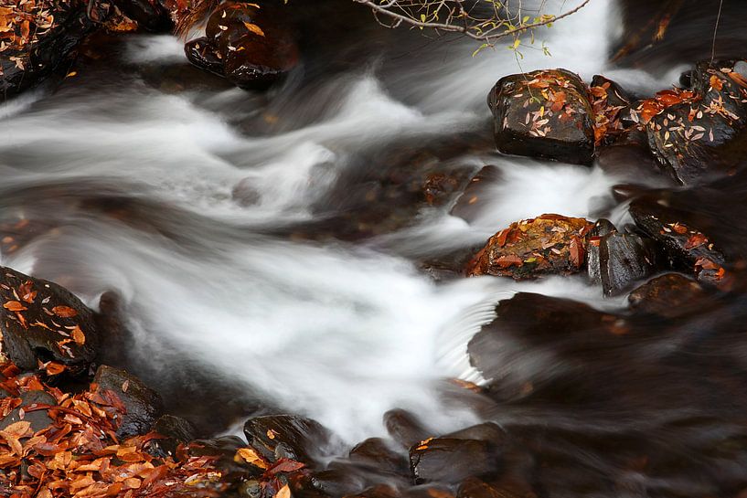 Herbst Fluss von Cornelis (Cees) Cornelissen