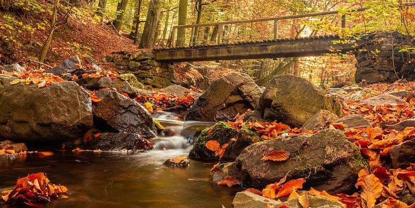 Over de brug von Maurice Hertog