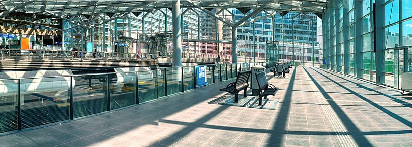 les transports publics de La Haye par Ariadna de Raadt-Goldberg