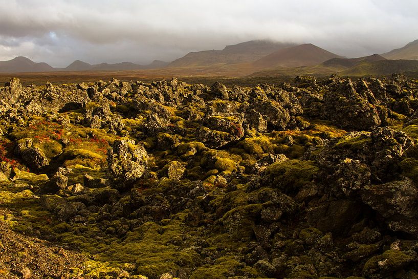 Mit Lavagestein bedeckte Landschaft in Island von Karijn | Fine art Natuur en Reis Fotografie